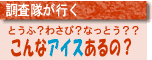 調査隊が行く